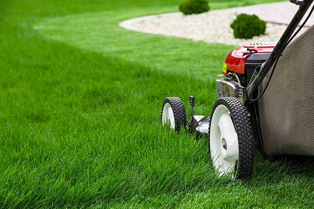 Lawn maintenance and garden tidying