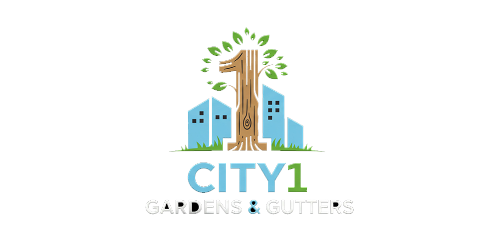 City1 Logo